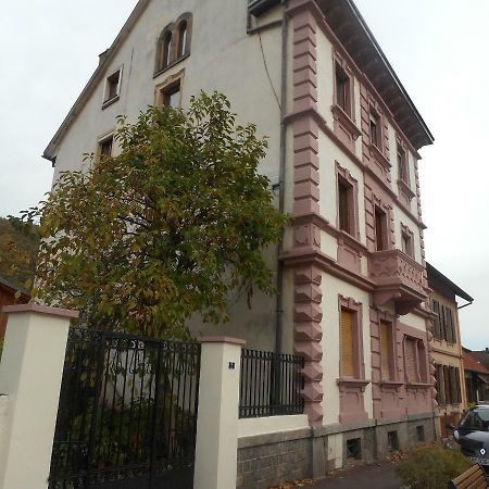 Chez Moera -Sur La Route Des Vins - Kaysersberg Apartment Ngoại thất bức ảnh