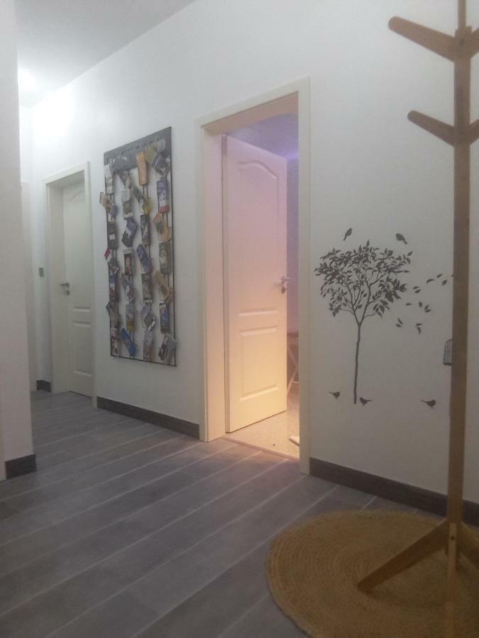 Chez Moera -Sur La Route Des Vins - Kaysersberg Apartment Ngoại thất bức ảnh